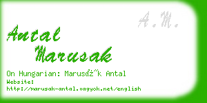 antal marusak business card